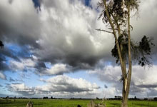 九游官网-虹口硝烟未散！申花绝平深圳，保级泥潭中的血色一分为何珍贵？