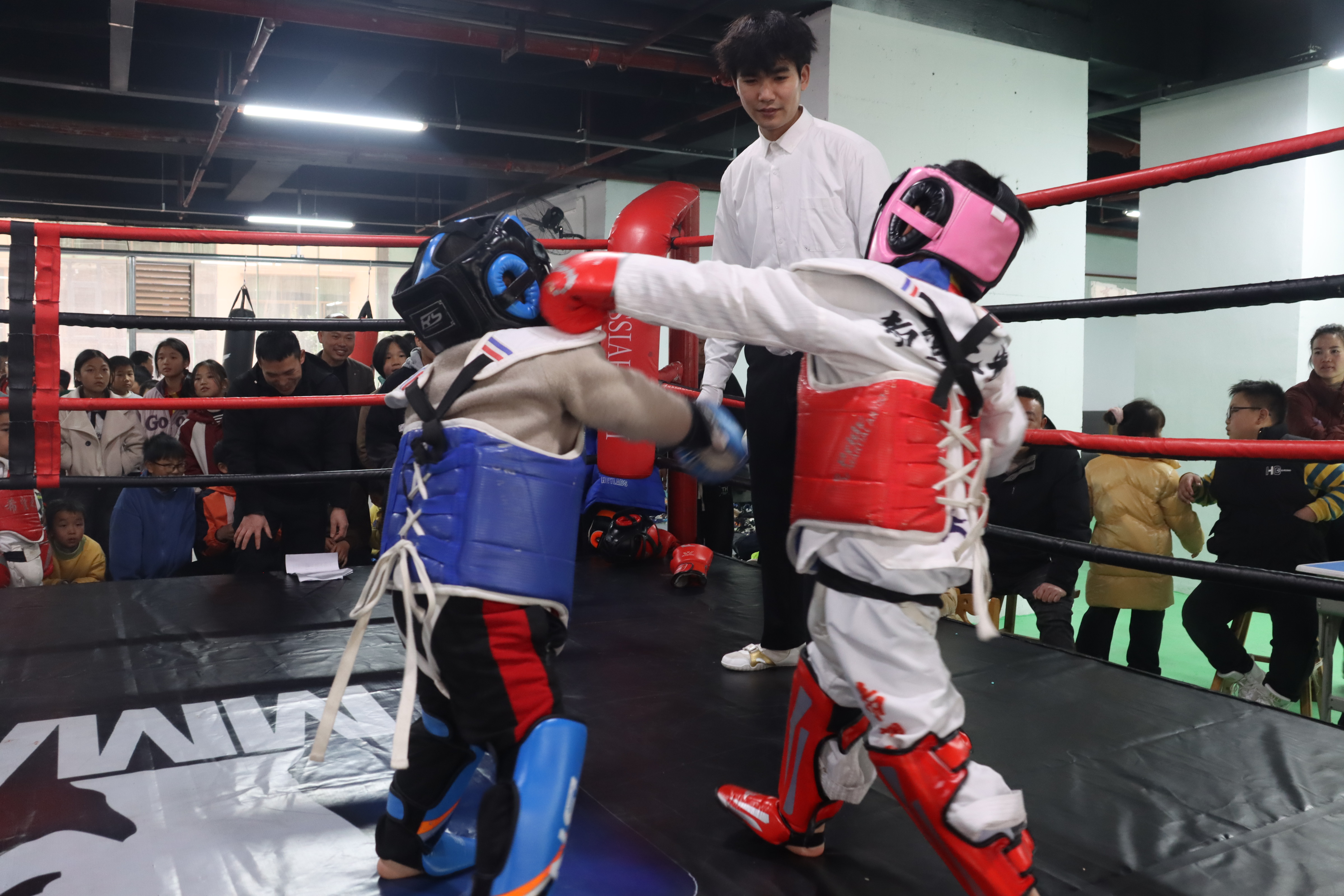 燃情争锋！欧洲杯赛事球场上演搏击