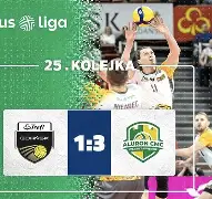 九游中国-波兰联赛冠军夺冠，全队齐心协力取得胜利的简单介绍