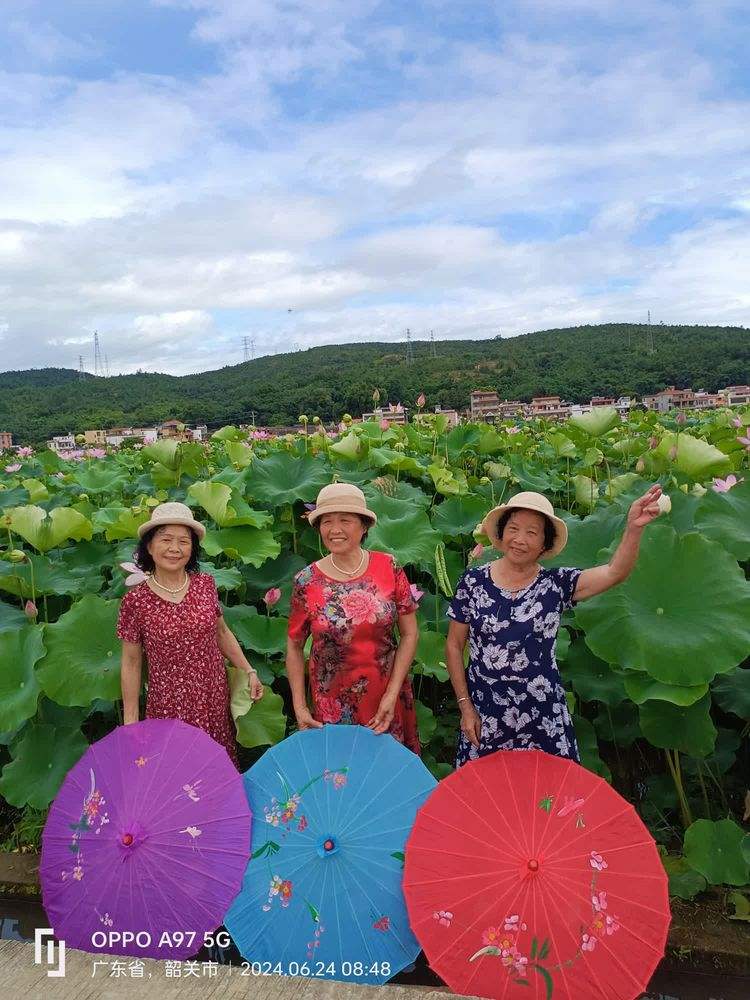 九游体育-关于游泳赛场惊险连连，男女选手交相辉映的信息