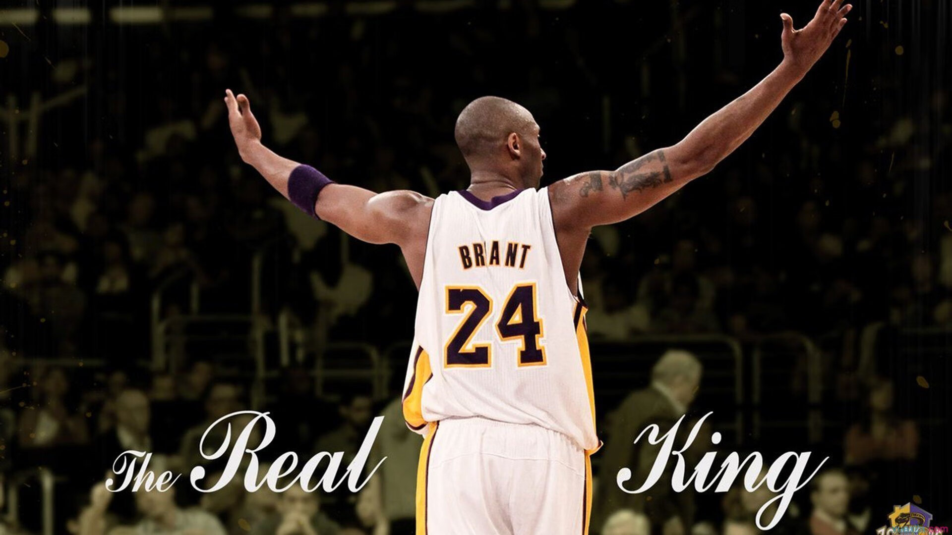 九游体育-破壁者武切维奇，从NBA冷门到欧冠王座的篮球悖论