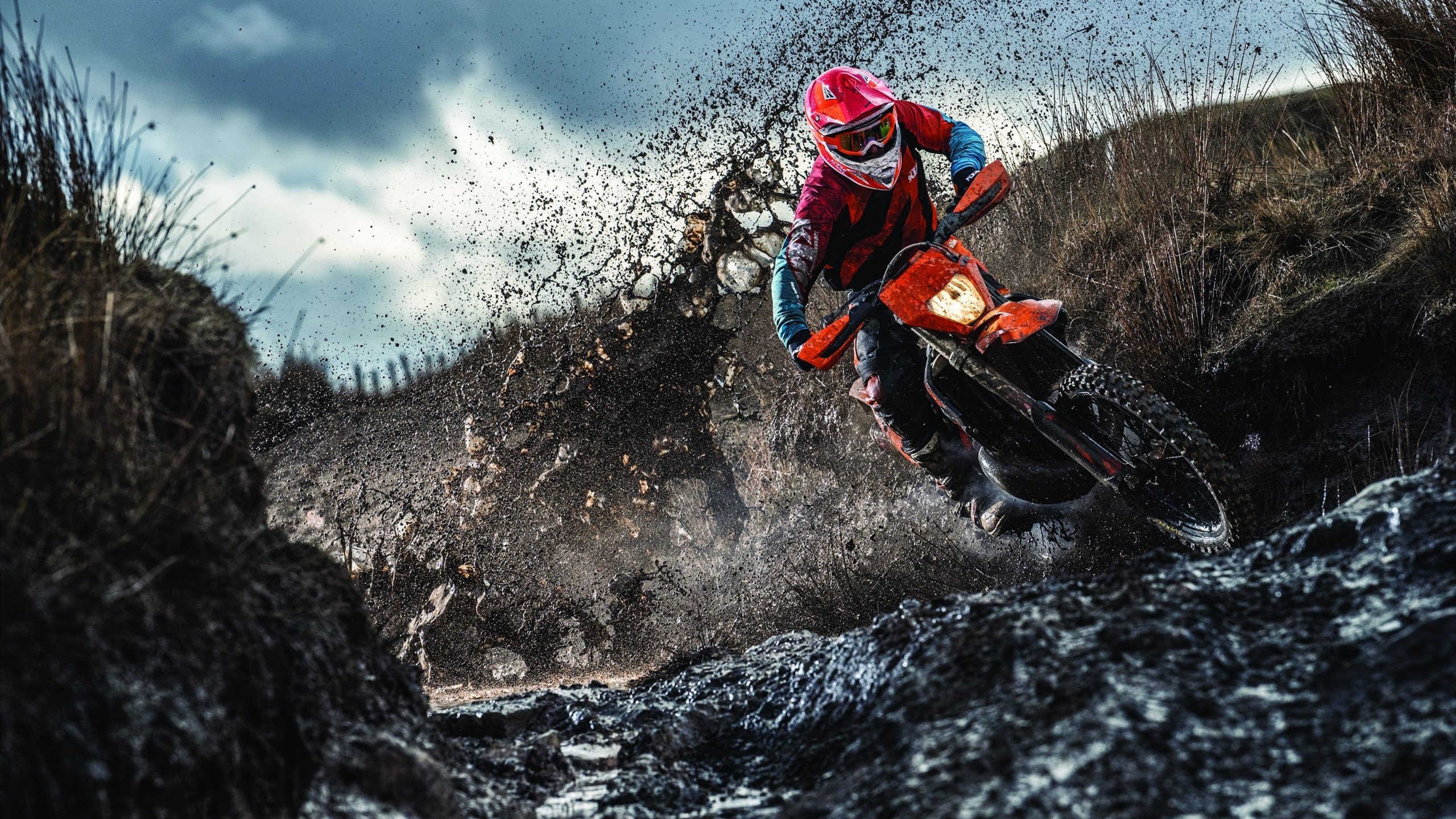 弯道绞杀与直道冲刺，当掘金的战术齿轮咬碎马刺，锡安在F1赛道完成超车接管